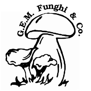 fungo