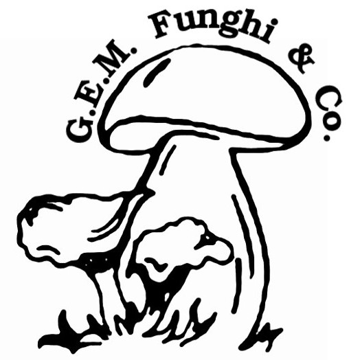 gemfunghi